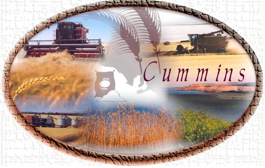 Welcome to Cummins and surrounding District